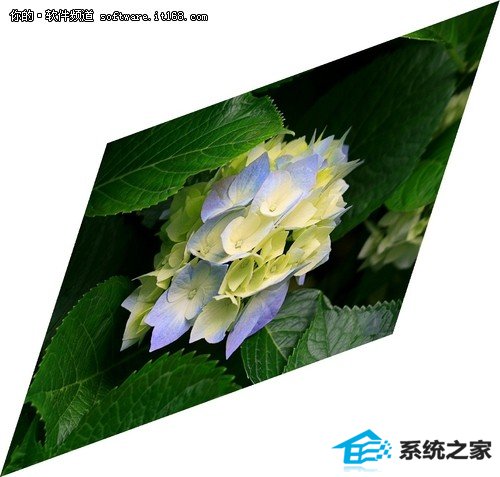 淽 windows10ͼͼƬС