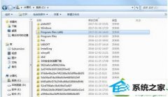 Աwin10ϵͳcprogram filesļеļ
