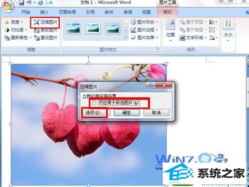将“仅应用于所选图片”前面的勾去掉 win10系统word文档中图片不显示的解决方法