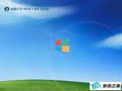 Թ˾win8.1⼤64λЧƶv2025.05