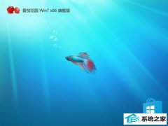 ѻ԰win7 32λ ⼤Ʒʰv2025.05