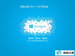 ϵͳ֮⼤win11 64λ׼v2024.04