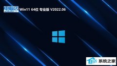电脑店win11免激活64位绿色特别版v2023.12