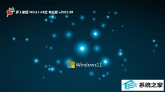 ܲ԰Windows11 Ƽװ64λ 2021.08